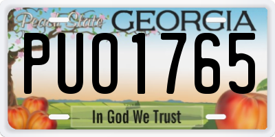 GA license plate PUO1765