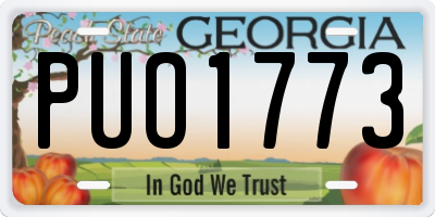 GA license plate PUO1773