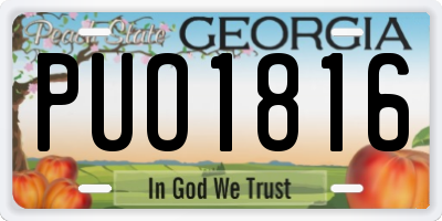 GA license plate PUO1816