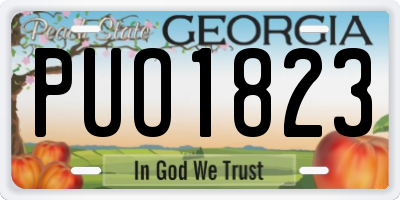 GA license plate PUO1823