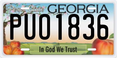 GA license plate PUO1836