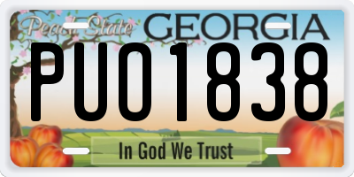 GA license plate PUO1838