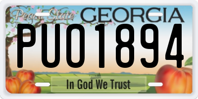 GA license plate PUO1894