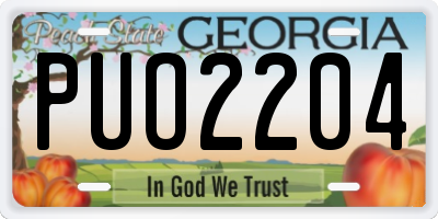 GA license plate PUO2204