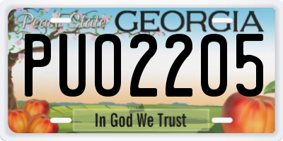 GA license plate PUO2205
