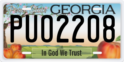 GA license plate PUO2208