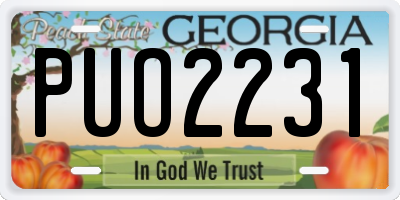 GA license plate PUO2231