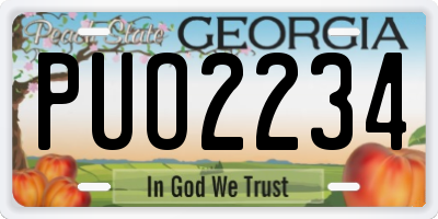 GA license plate PUO2234
