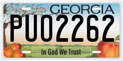 GA license plate PUO2262