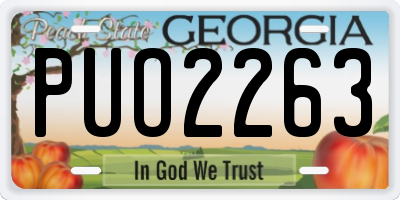 GA license plate PUO2263
