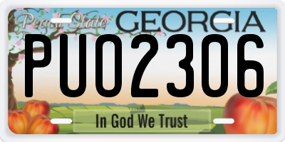 GA license plate PUO2306