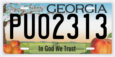 GA license plate PUO2313