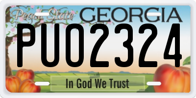 GA license plate PUO2324