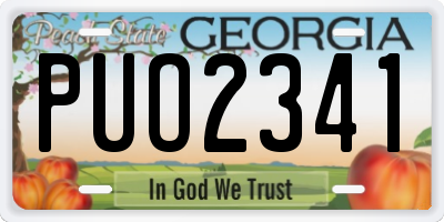 GA license plate PUO2341