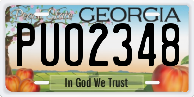GA license plate PUO2348
