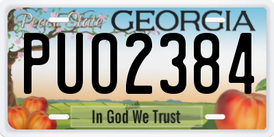 GA license plate PUO2384