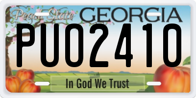 GA license plate PUO2410