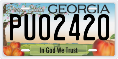 GA license plate PUO2420