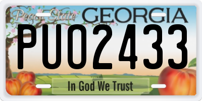 GA license plate PUO2433