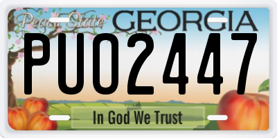 GA license plate PUO2447