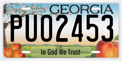 GA license plate PUO2453