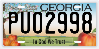 GA license plate PUO2998