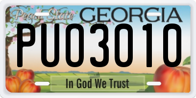GA license plate PUO3010