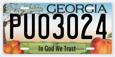 GA license plate PUO3024
