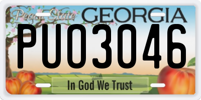 GA license plate PUO3046
