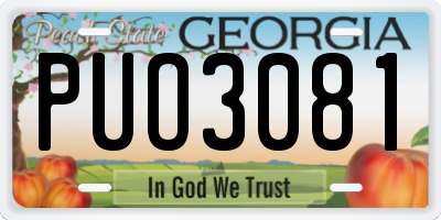 GA license plate PUO3081