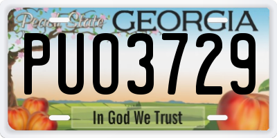 GA license plate PUO3729
