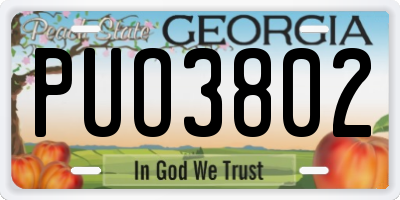 GA license plate PUO3802