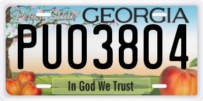 GA license plate PUO3804