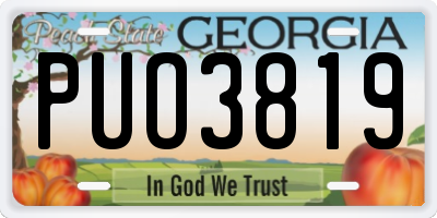 GA license plate PUO3819