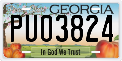 GA license plate PUO3824