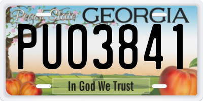 GA license plate PUO3841