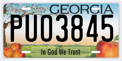 GA license plate PUO3845