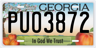 GA license plate PUO3872