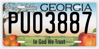 GA license plate PUO3887