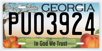 GA license plate PUO3924