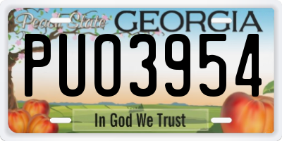 GA license plate PUO3954
