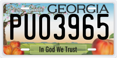 GA license plate PUO3965