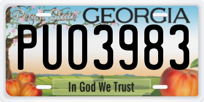 GA license plate PUO3983