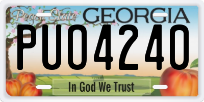 GA license plate PUO4240