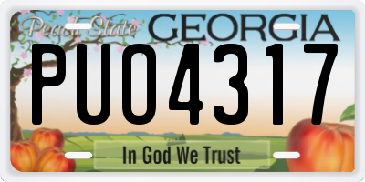 GA license plate PUO4317