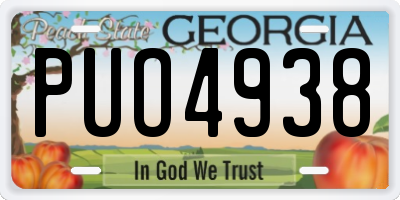 GA license plate PUO4938