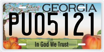 GA license plate PUO5121