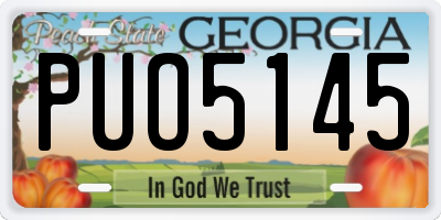 GA license plate PUO5145