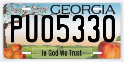 GA license plate PUO5330