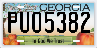 GA license plate PUO5382